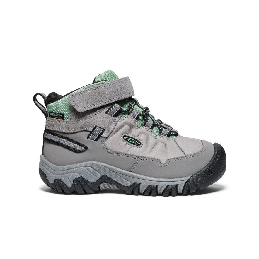 Little Kids' Targhee IV Waterproof Hiking Boot - Alloy/Granite Green